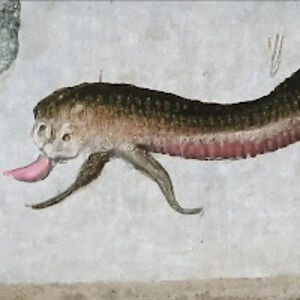 averysterling avatar