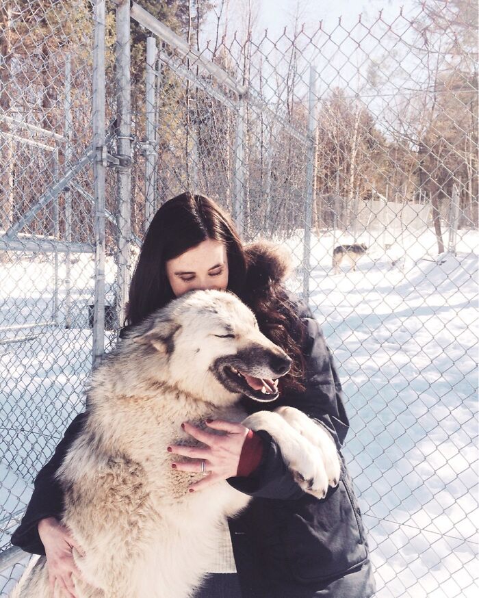 Wolfdog Rescue Isn't Glamorous, Well Paying, Comfortable Or Easy. But Moments Like This Make It All Worthwhile