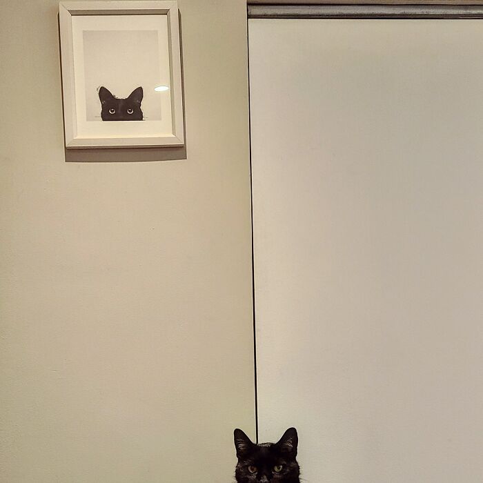 Él es muy divertido