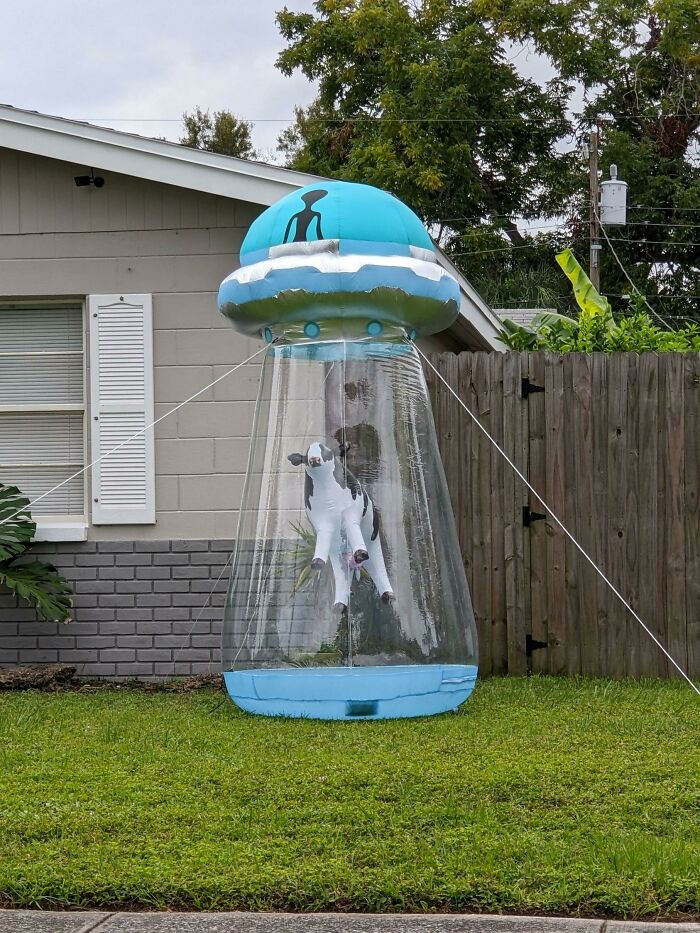 Spotted This In Someone's Yard On My Morning Walk