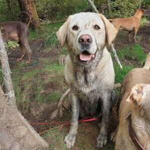 christinehall_nz avatar