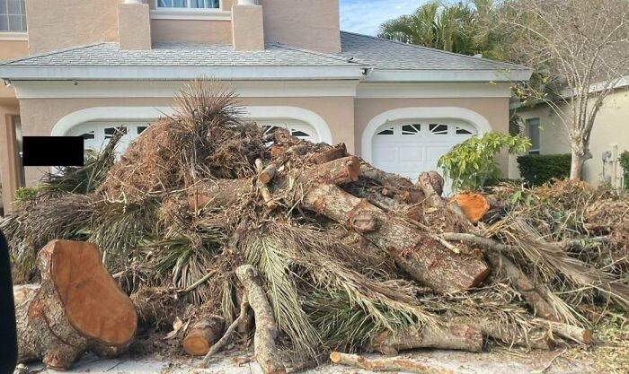 My Neighbor “Allegedly” Refused To Pay The Guy Who Cleared His Back Yard. He’ll Be Coming Home To This Gift Left In His Driveway