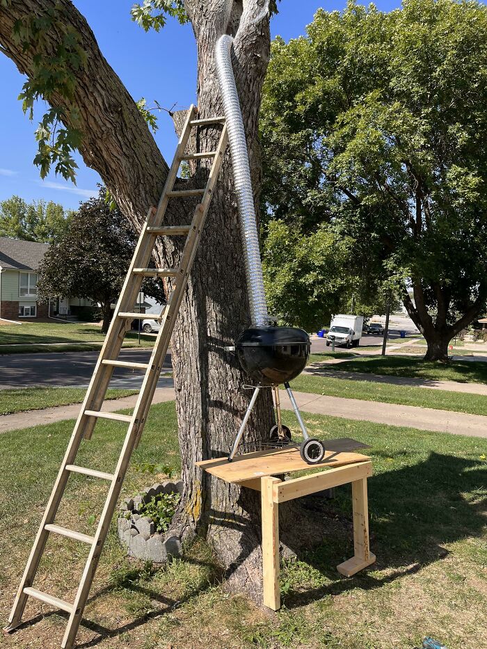 My Uncle Trying To Smoke Out A Beehive