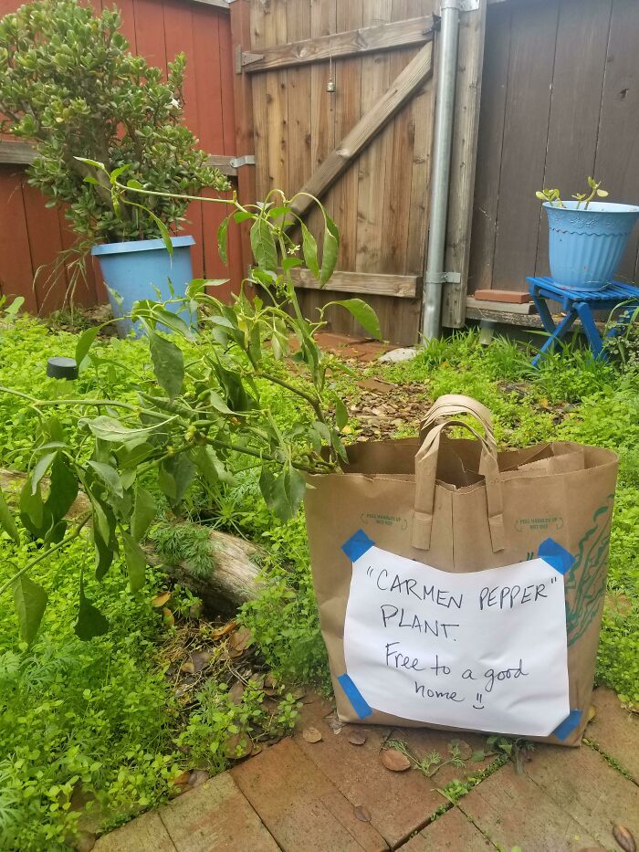 So I Says To Myself, "I'm A Good Home!"