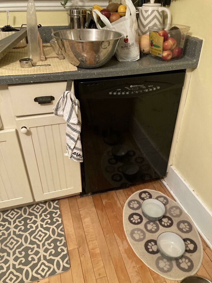 We Needed A New Dishwasher And The Neighbor’s Curb Provided! Installed It Yesterday. Works Beautifully