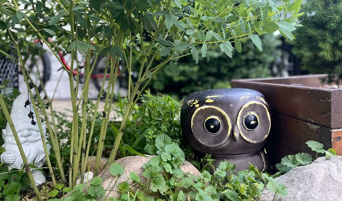 Older Lady Across The Street Puts Stuff Out Occasionally, This Is My First Had To Have