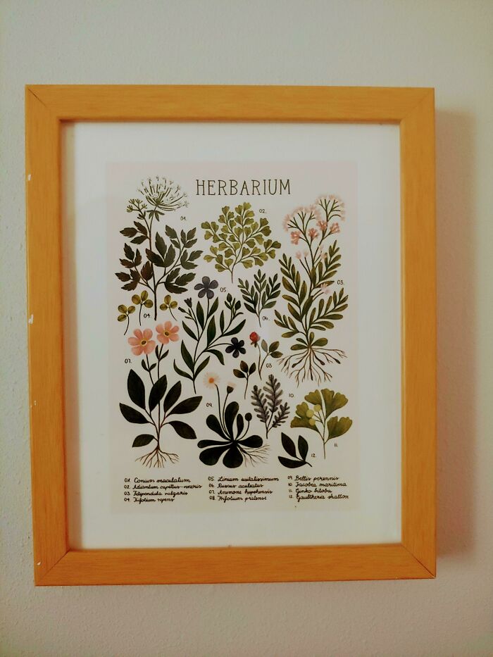 I've Had This Exact Print In My Cart On Society6 For Weeks. Today I Found It On Nextdoor For Free. Frame And Everything. Cannot Believe My Luck