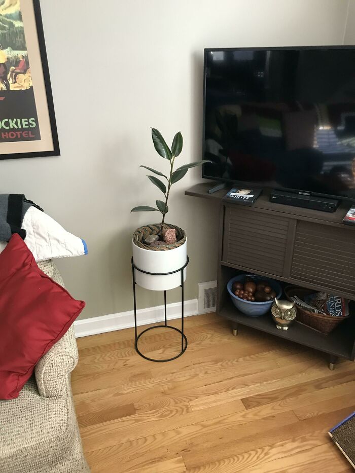 Stand And White Pot On Curb Today! Cleaned And In My House