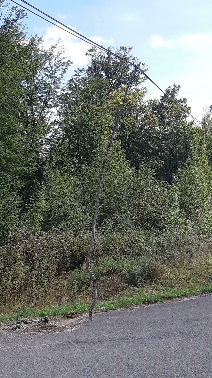 Found This While Hiking In France