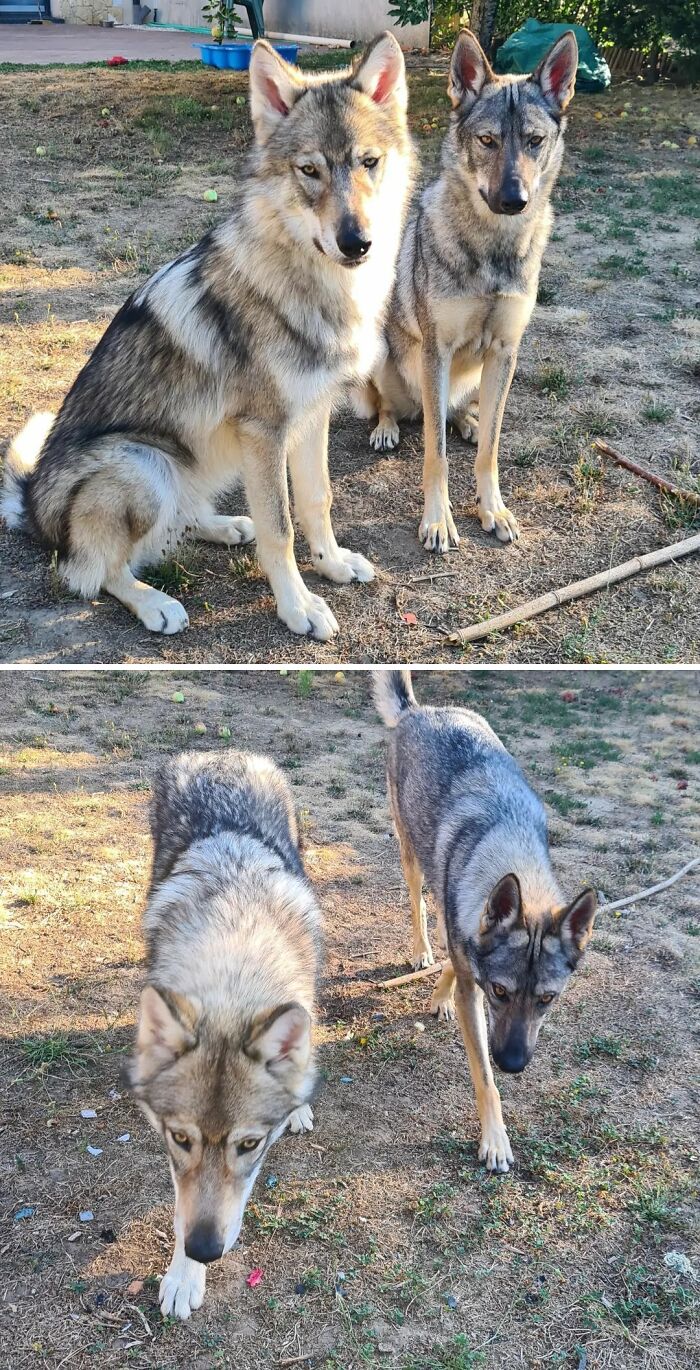 So Happy To Have My Babies Back!