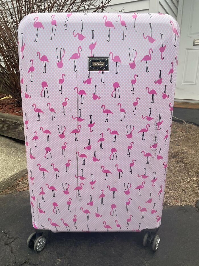 Betsy Johnson Luggage In Great Condition... Okkkkkkkkkkaaaaayyyyyyy!!!!!! 😚