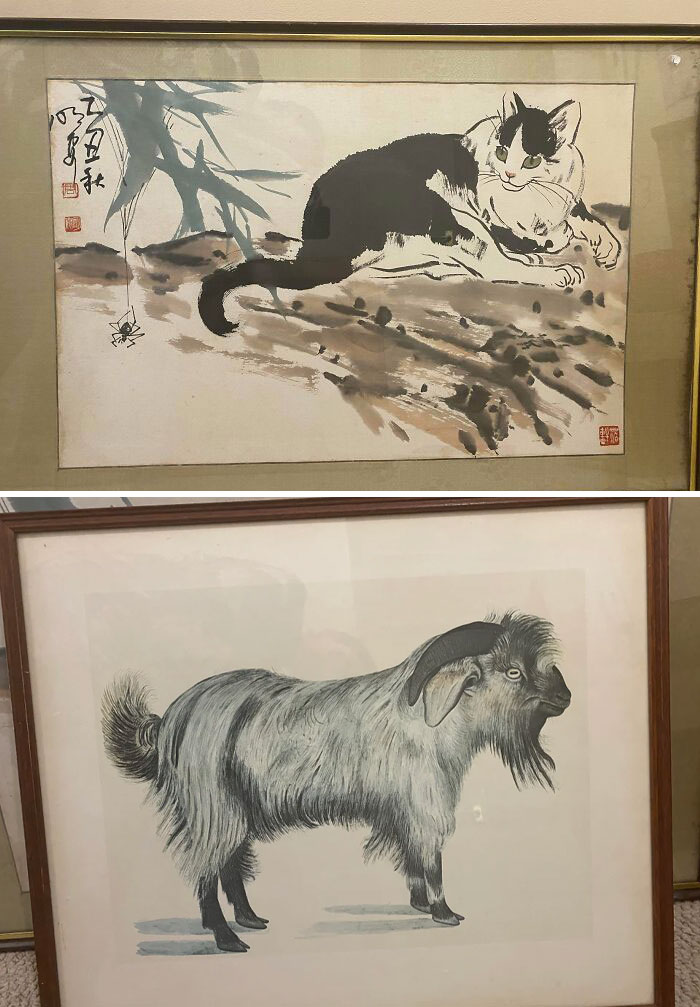 Found By My Communal Rubbish Bins When Taking Rubbish Out