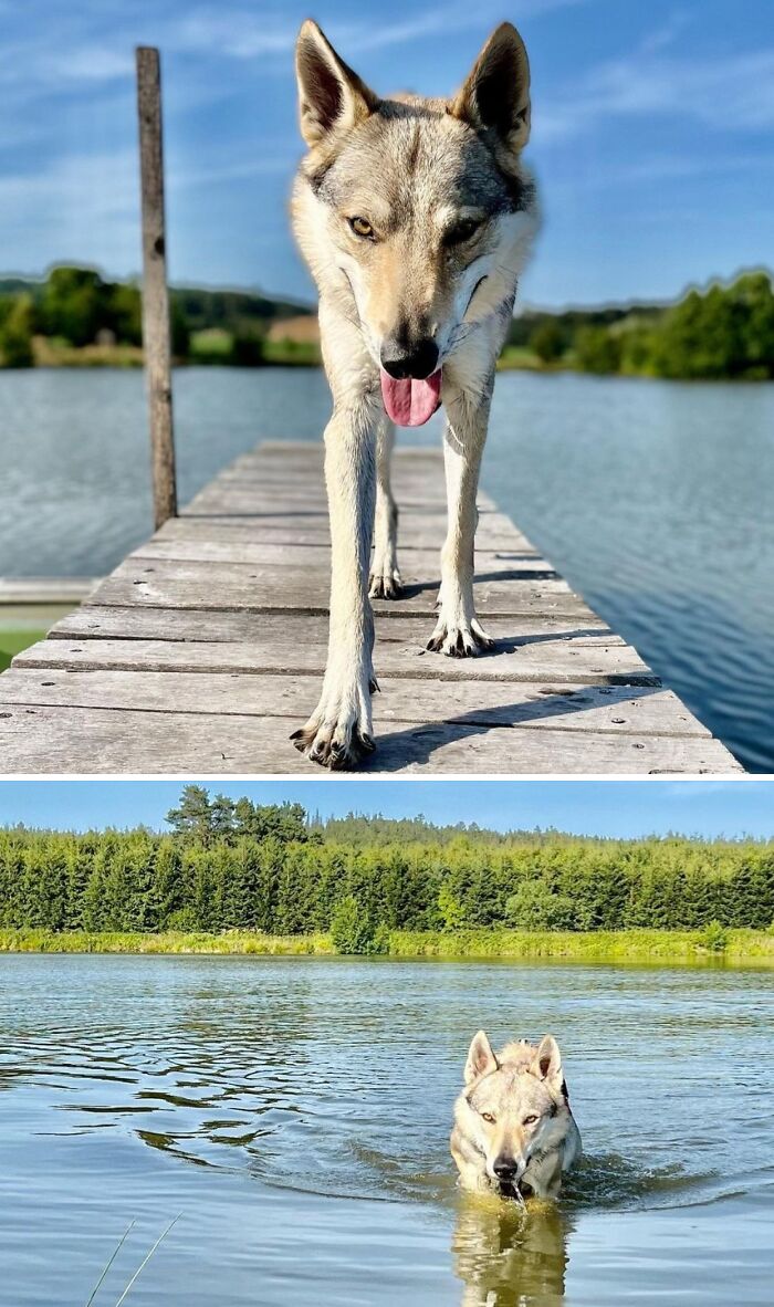 The Best Time Is Spent In Water During These Hot Days