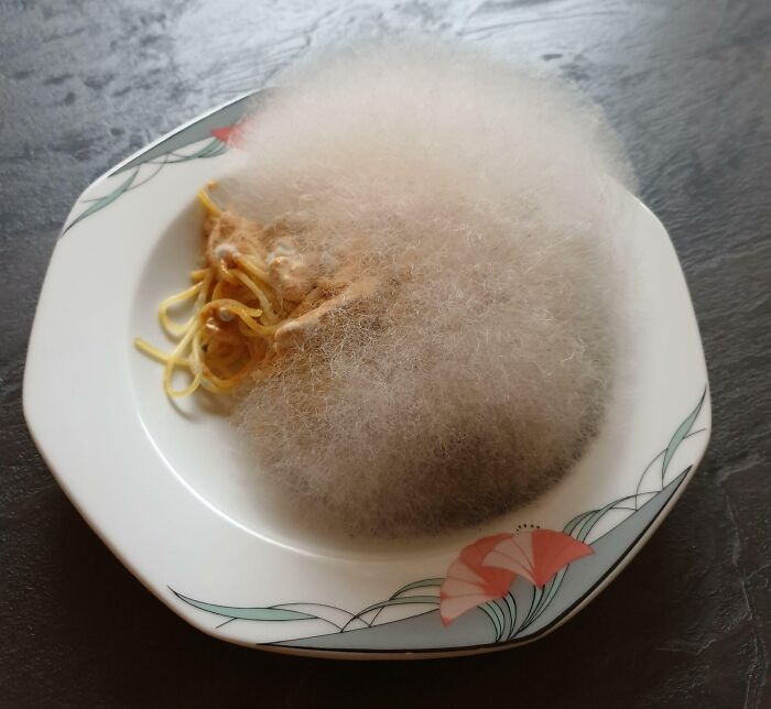 Forgot Spaghetti With Mushrooms In The Microwave For A Week. Now It's A Floofly Ball Of Mold
