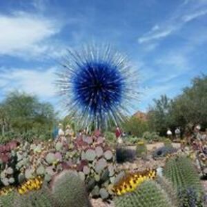 stephanierhodes11 avatar