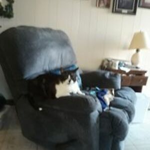 amanda_hensley avatar