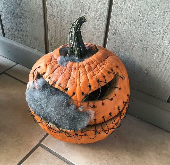 Gnarly Pumpkin Made Gnarlier By Mold