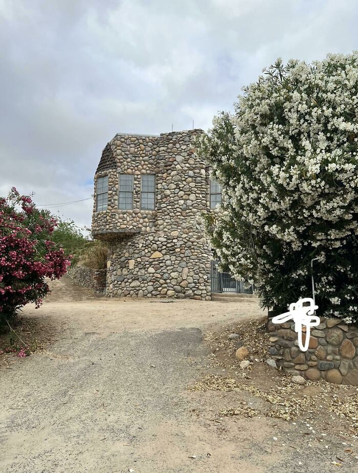 It Was A Bold Choice. That’s About All I Can Say About It