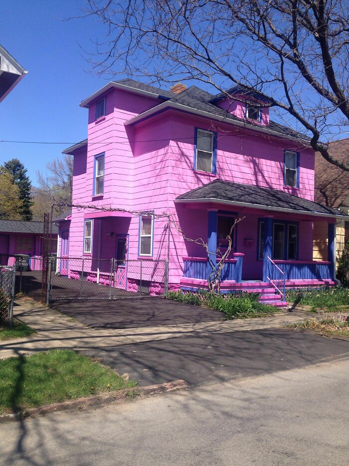 What Would You Even Call This Color? Fugly Fuschia?