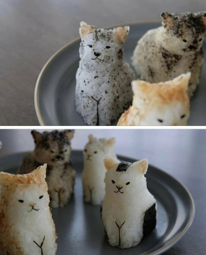 These Onigiri (Rice Balls) Perfectly Shaped Like Cats