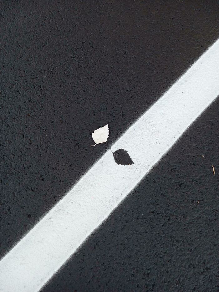 Fall Got In The Way Of Our New Parking Lanes