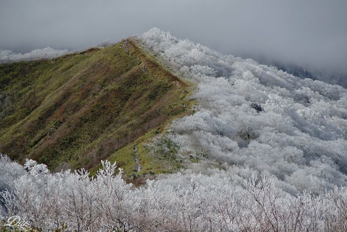 The Foehn Effect Covering Just One Side Of This Mountain