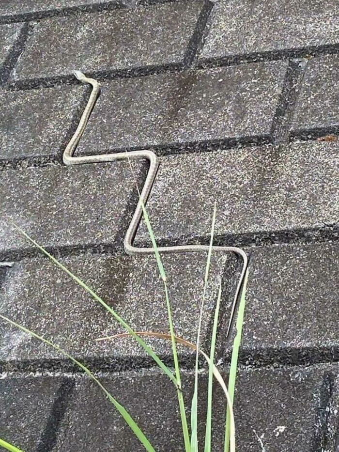 Hinding In The Trenches