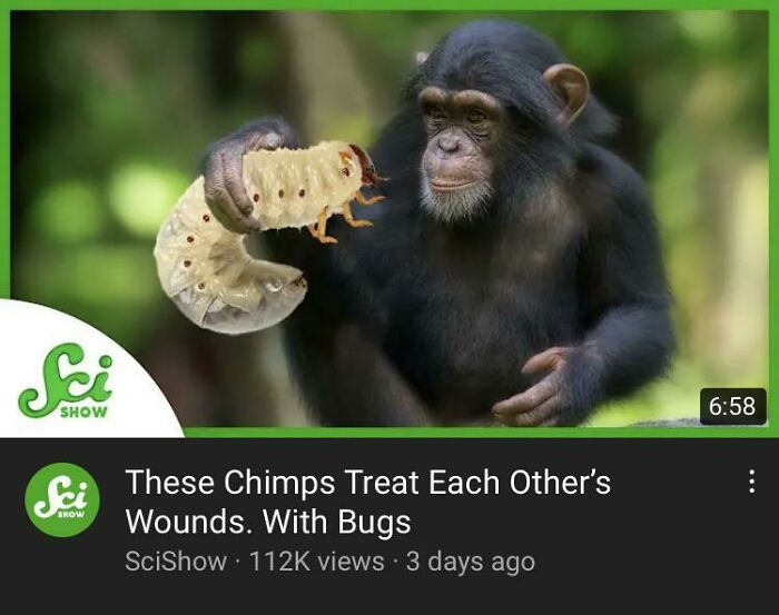 Found One In The Wild