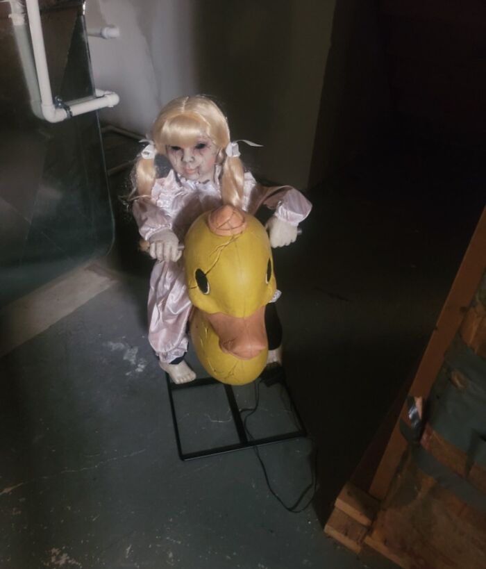 Los antiguos dueños se olvidaron esto