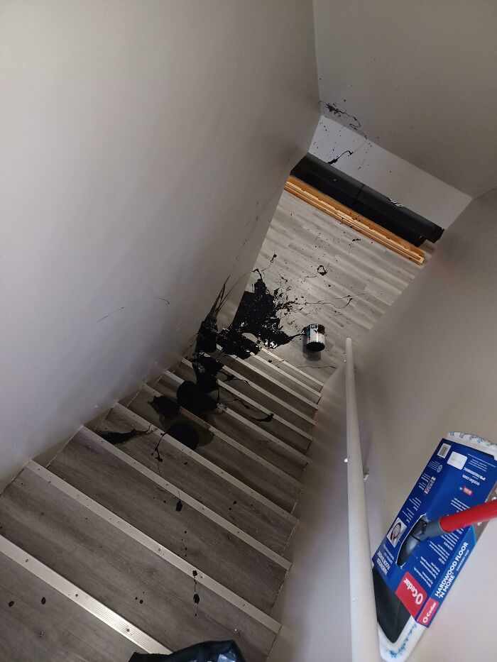 Un galón entero de pintura negra brillante para el suelo del garaje. Ahí va mi día