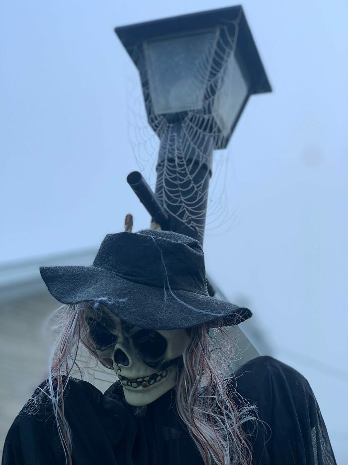 A Spider Helped Us Make Our Halloween Decorations A Bit More Creepy