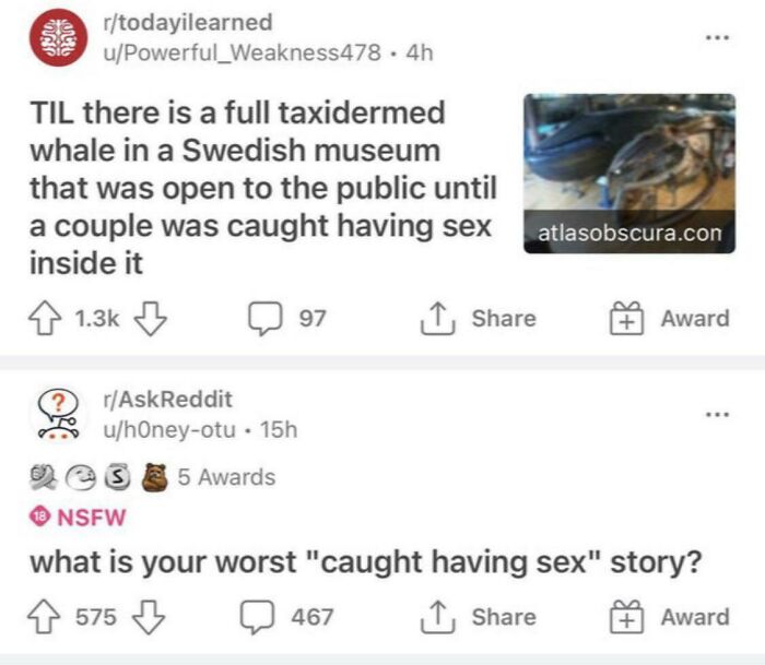 One Time, At This Swedish Museum…