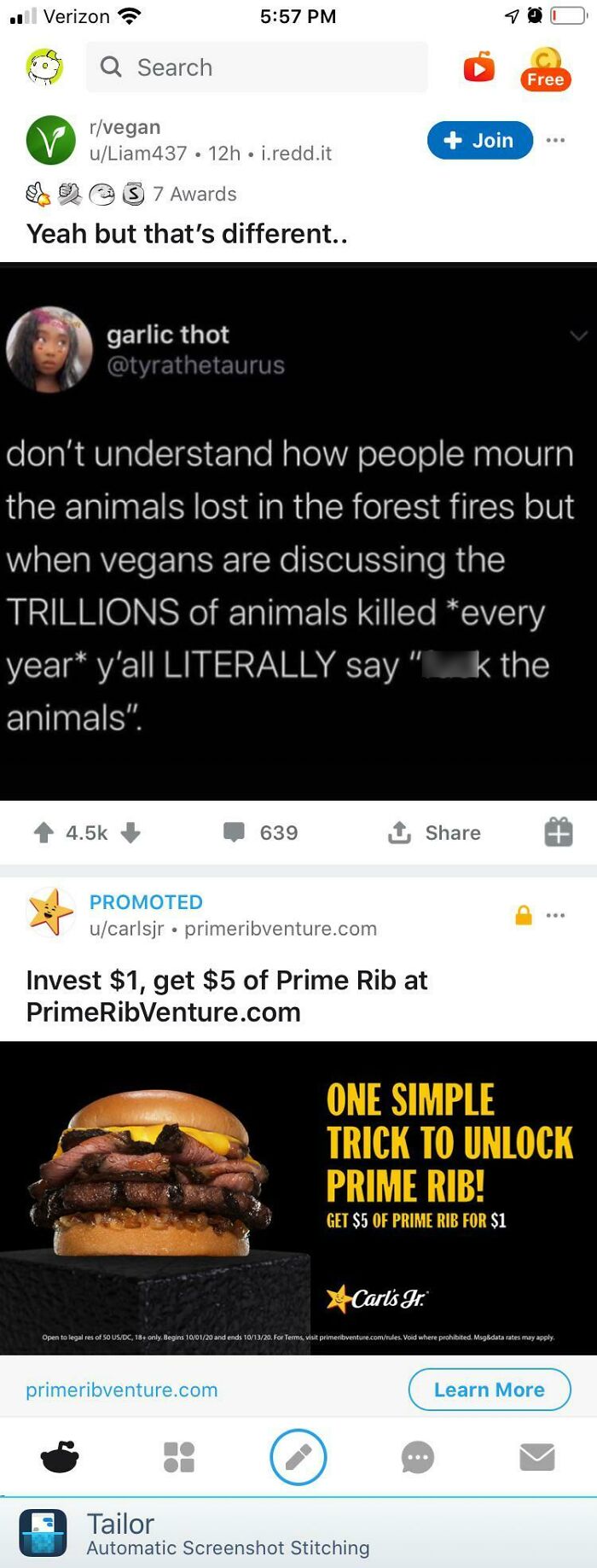 This Ad For Carl’s Jr