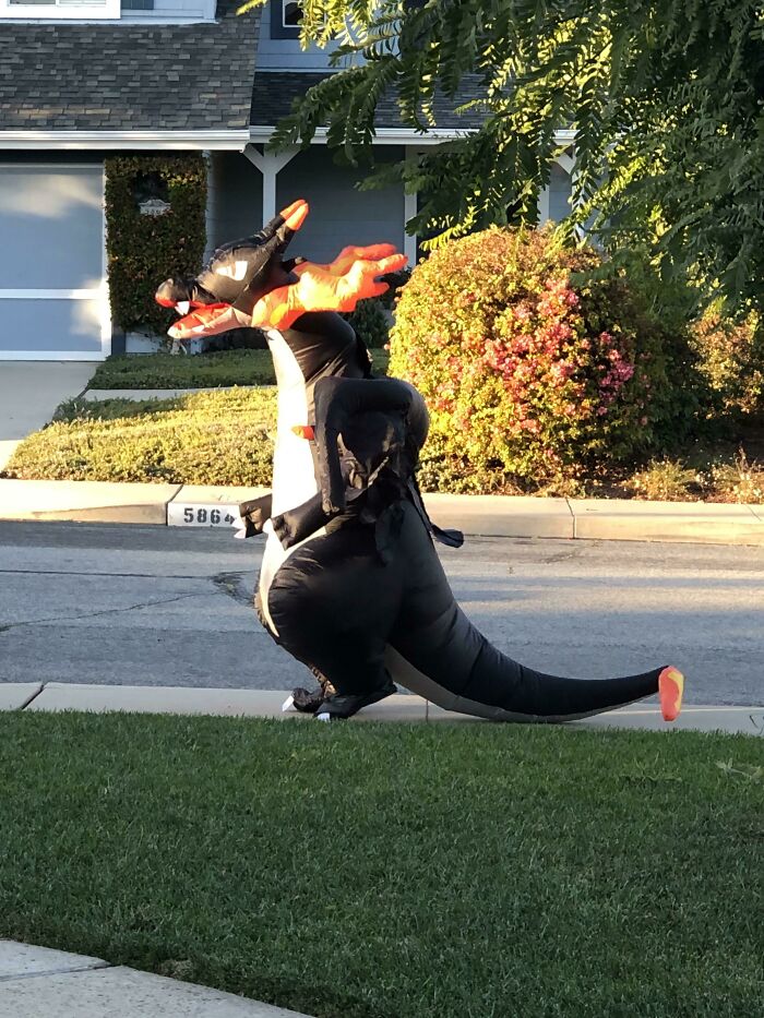 My Kid’s Halloween Costume Delighted Our Elderly Neighbors