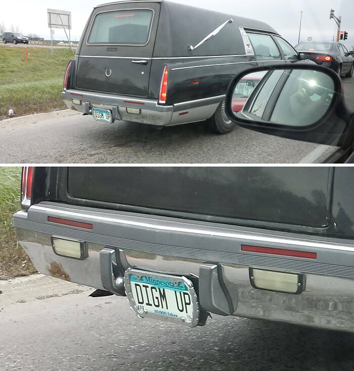 Check The License Plate