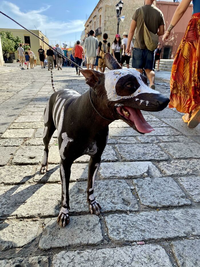 Celebrating The Day Of The Dead