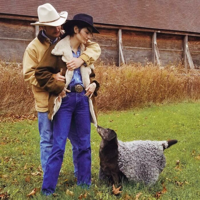 Look At That Cute Sheep