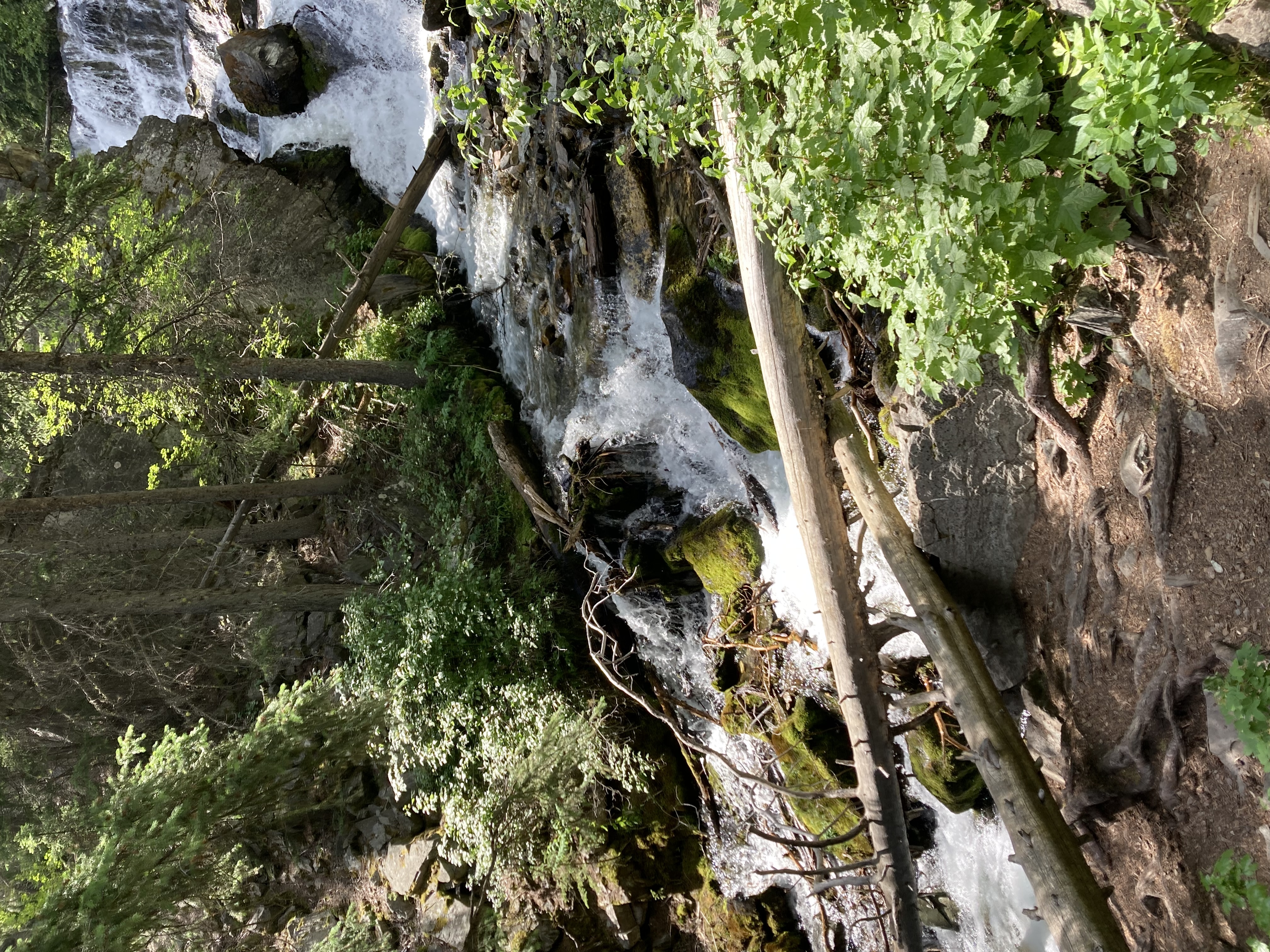 Hey Pandas, Let’s See The Most Professional Looking Photo Of Nature You Have That You Took With Your Phone!!!!