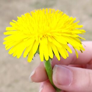 elizabethpragbillybobbjo avatar