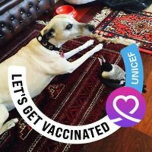 siggi_macleod avatar