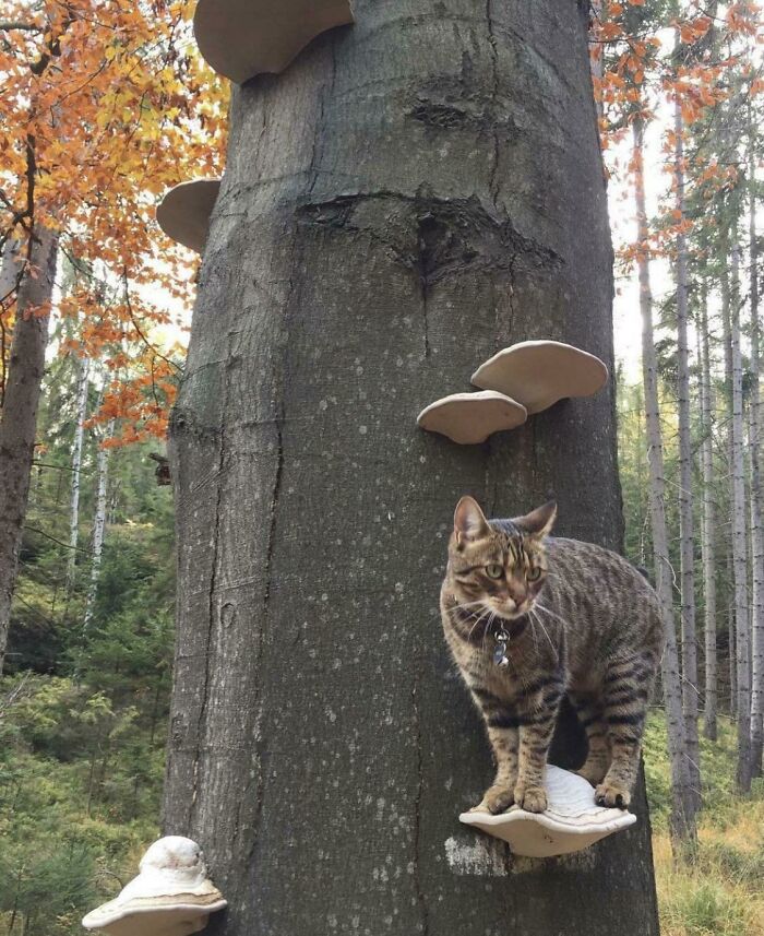  Had To Repost Bc Of How Cute It Is