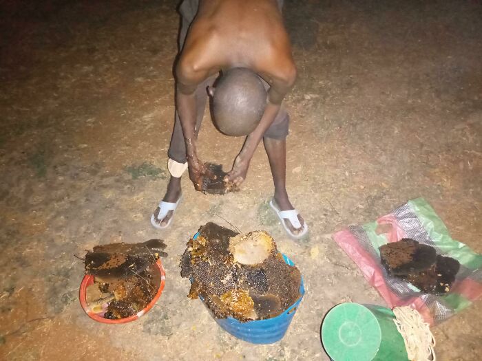 Collected Some Wild Honey From An African Bees Nest. Got 4l Worth!