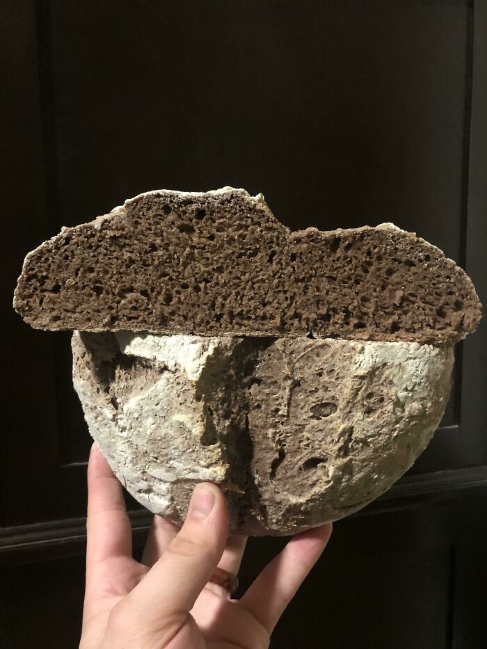 During Midwinter In NY Z6 When There Is Little Foraging To Be Done I Like To Process The Acorns From The Year. Today I Had Acorn Bread!