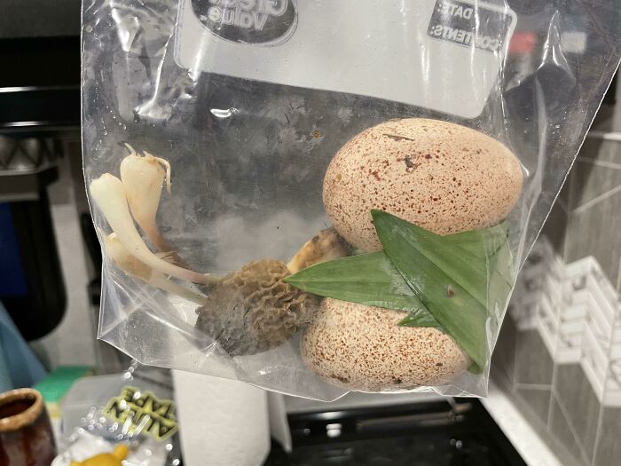 I Got This Omelette Goody Bag When I Visited My Bff’s Homestead