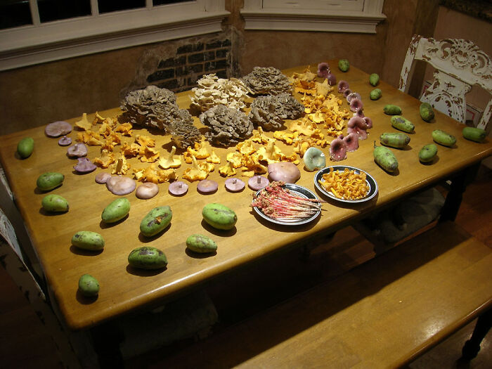 Why I Love Fall Foraging