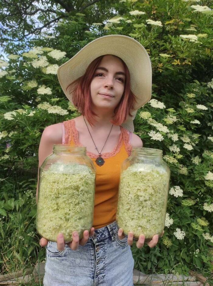 Here In Hungary, Elderflower Is Everywhere In This Time Of The Year, So We Went Out To Get Some For My Mother's Elderflower Syrup