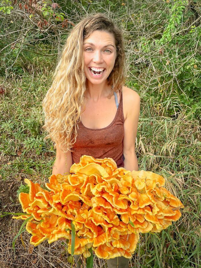 My First Chicken Of The Woods! 15 Lbs