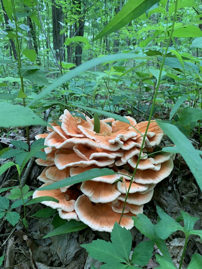 Freshest I’ve Found