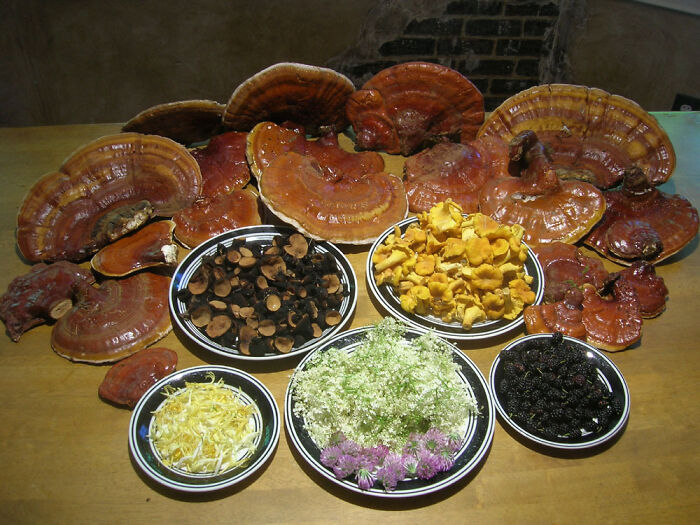 Sometimes You Have To Take A "Mental Health Day" And Just Get Lost In The Woods