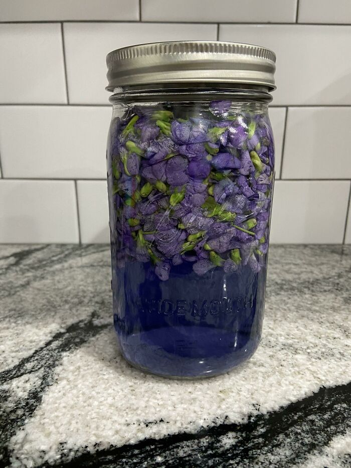 Your Girl Foraged For The First Time